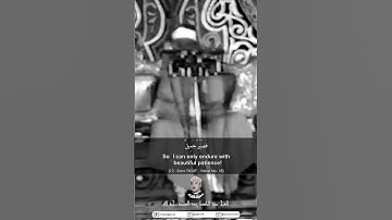 وجاءوا على قميصه بدم كذب قال بل سولت لكم أنفسكم أمرا فصبر | الآية 17 من سورة يوسف