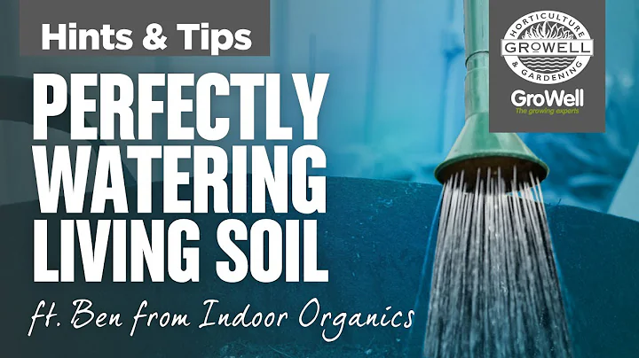 Perfectly Watering Living Soil ft. Ben from Indoor Organics | Hints & Tips