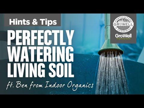 Perfectly Watering Living Soil ft. Ben from Indoor Organics | Hints & Tips