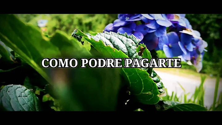 Como podre pagarte ( Ruth Gonzales) Abimael Torres.