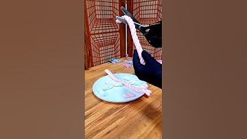 Marshmallow Packaging in Reverse! Satisfying Unwrapping ASMR #marshmello #reversevideo #satisfying