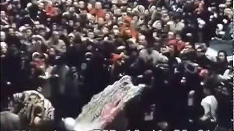 celery - introvert culture (official video)