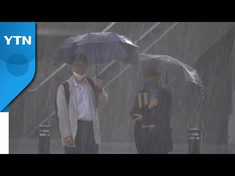 [날씨] 오늘 다시 무더위...저녁까지 곳곳 소나기 / YTN
