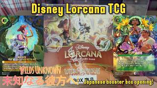 未開封・パーク産】ディズニー ロルカナWilds Unknown 未開封BOX