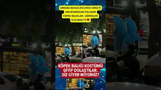 Ankara’da dolaşan köpek balığı kostümlü gençler 🥰 #haber #magazin #sondakika