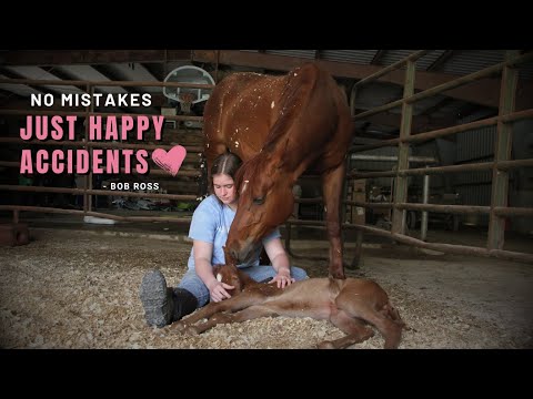 Video: A foal is a baby horse. birth, development
