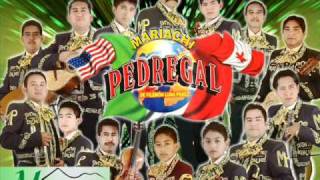 MARIACHI PEDREGAL TERESA.wmv chords