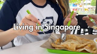 An Average Singaporean’s Life | How much I spend on economical meals | WFH days Vlog