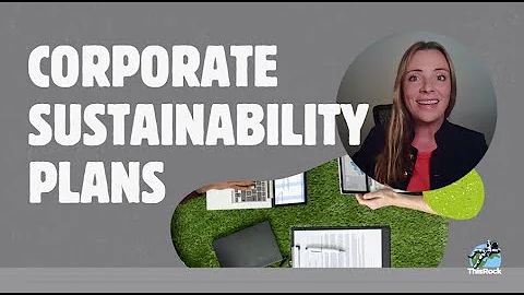Why Every Business Needs a Corporate Sustainability Plan in 2025