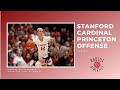 Stanford cardinal  princeton offense jersey  transition offense over the top and away