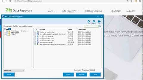 How to preview the found files with M3 Data Recovery after scanning?