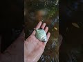 #motivação #motivacional #reflexão #abencoe #amem #deus Vlogs meu dia a dia Moisés 🙏🙏