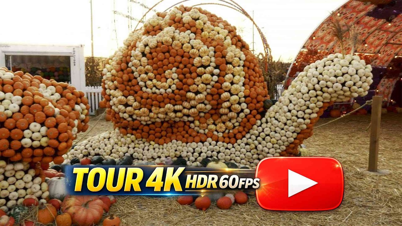 🎃👻 Pumpkinville 2024 at Sherway Gardens | 4K 60p HDR | Real Pumpkin Sculptures & Fall Fair Magic