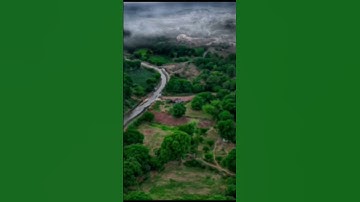 آخر آيتين من سورة التوبة - محمد أنور الرعيني