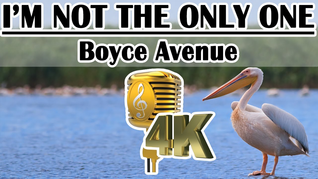Obejrzyj I’m Not The Only One - Boyce Avenue Lyrics | Karaoke | Instrumental Minus One w YouTube Obejrzyj I’m Not The Only One - Boyce Avenue Lyrics | Karaoke | Instrumental Minus One w YouTube