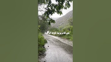 سورة الشورى، الآية 19