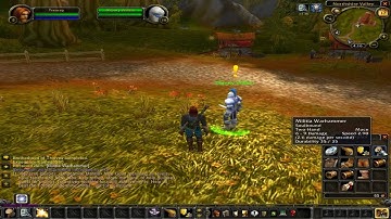 World Of Warcraft Leveling Guide: Alliance: Human Paladin level 1-5