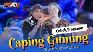 CAPING GUNUNG • INDRI BALUWARTI FT TRI ANOM || DEWARUCI MUSIC 