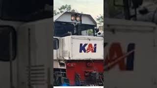 belai tiktok belai tiktok
