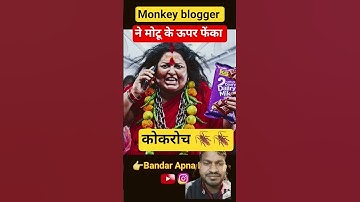 #ai monkey vlog#monkey video editing #how to making ai video#monkey vlogger flight