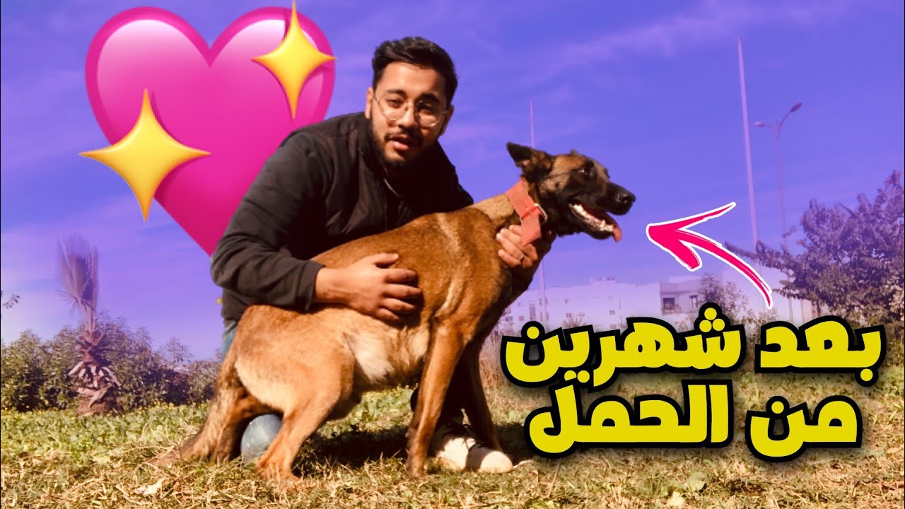 أخيرا كلبتي 🐶 قربات تولد