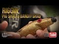 How to rig Pig Shad & Bandit Shad - Kanalgratis.se