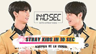 Stray Kids In 10 Sec• Dingo Kdrama(Русс.озвучка От Lii Crown)
