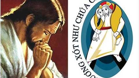 Học Hỏi Năm Thánh Lòng Thương Xót  (2) - Linh mục Đaminh Nguyễn Đức Thông