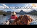 Essential Features for Dog-Friendly Kayaks: A Comprehensive Guide