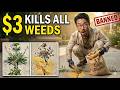 $3 Corn Gluten STOPS Weeds Before They Grow. The $8 Billion Weed Killer Industry Buried This in 1991
