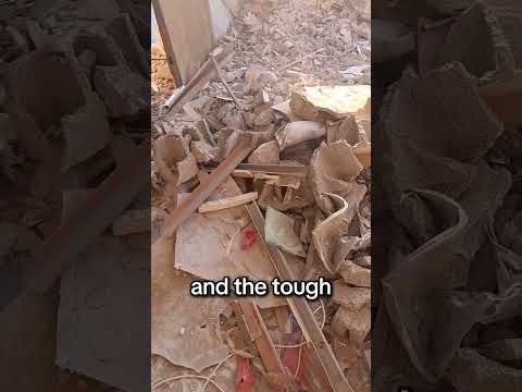 العودة إلى منزلي في 44