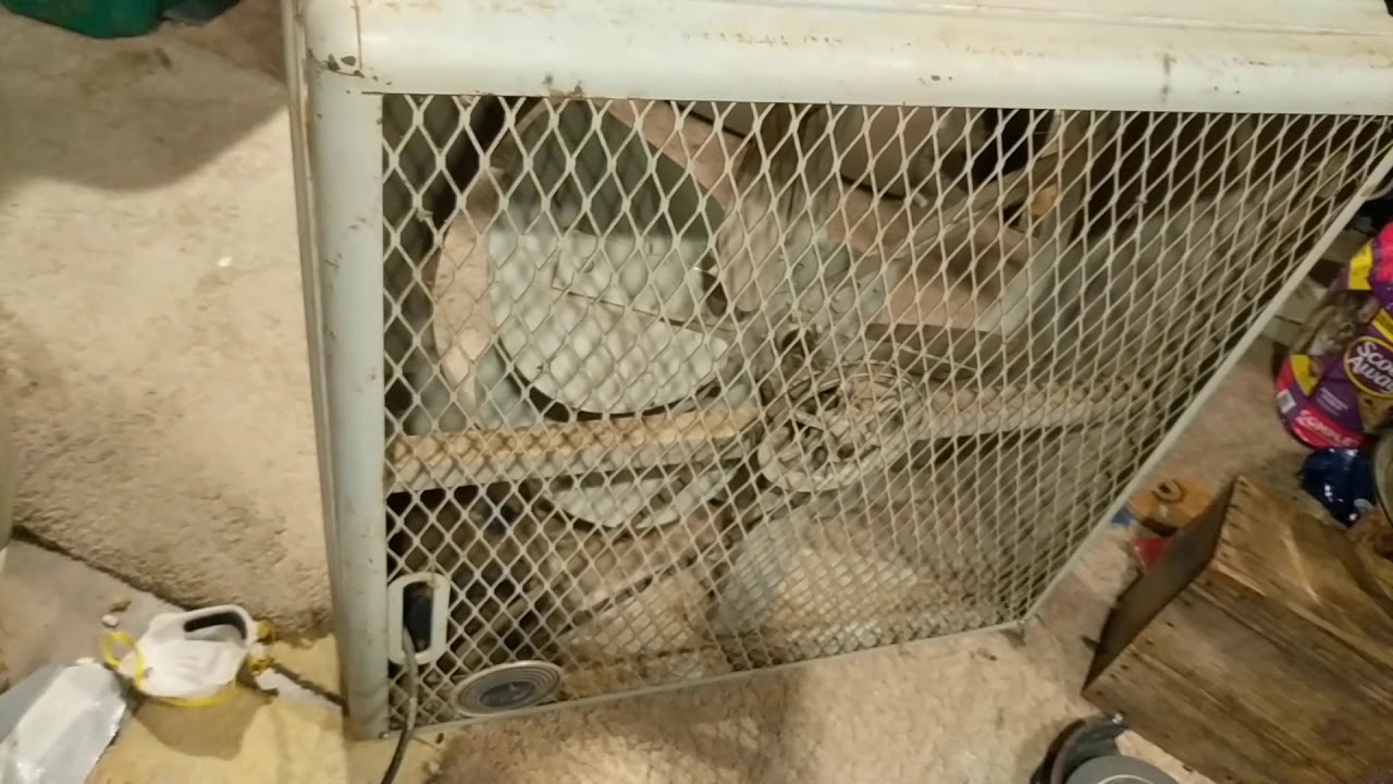 Vintage Emerson electric 24