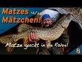 Matze Koch: Schattenhechte - Matzes Mätzchen 12-2020