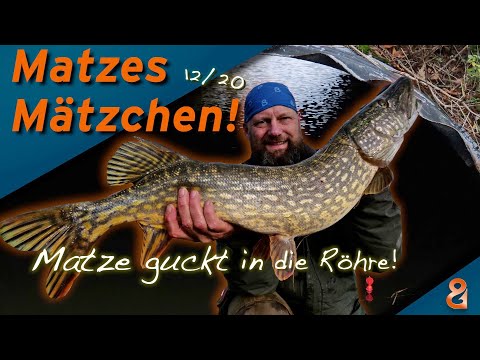 Matze Koch: Schattenhechte - Matzes Mätzchen 12-2020