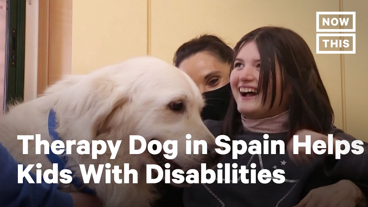 Therapy Dog Helps Kids Cope with School During Pandemic | NowThis - YouTube