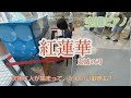 空港で「紅蓮華」を弾いたら子ども達が集まってきたよ！ 小５たっぴ