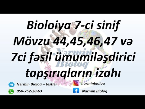 Video: Şabalıdı Necə Yaymaq Olar? Ağacların şlam Və Meyvələrlə Yayılması, şabalıd Yayılmasının Xüsusiyyətləri