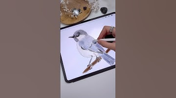 Drawing in Procreate - Sketch Bird #shorts #procreate #tutorial #drawing #sketching #digitalart