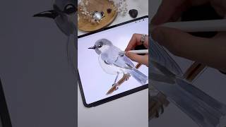 Drawing in Procreate - Sketch Bird #shorts #procreate #tutorial #drawing #sketching #digitalart Net Worth