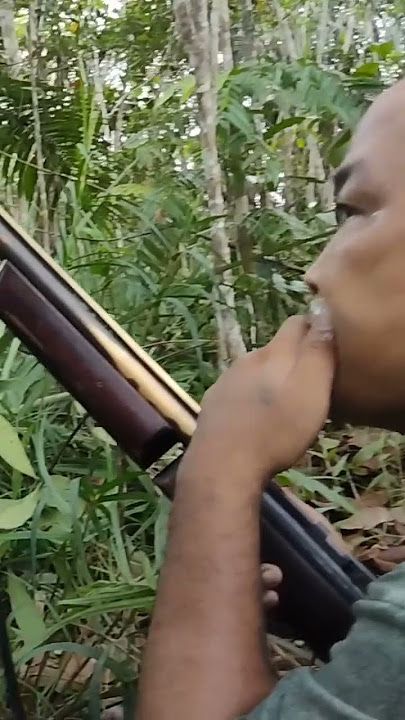 proses manggil tupai dengan media plastik atau kresek #shortvideo #videoshort