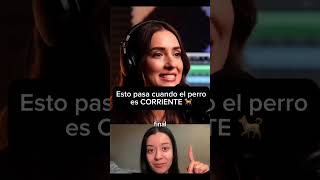 Aplica para TODAS LAS PERSONAS #perro #aprender #IA #reaccion