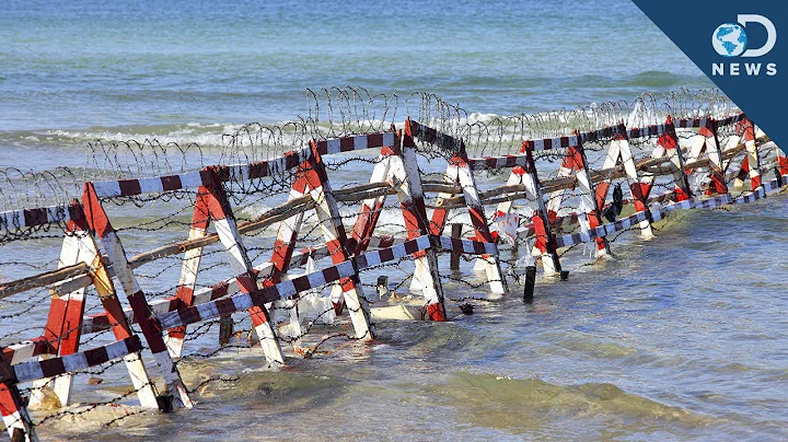 Should We Close The Ocean To Save Fish? - DayDayNews