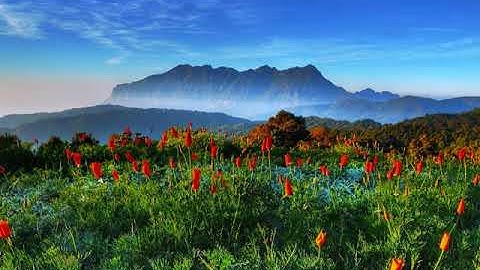 القارئ الزين محمد أحمد تلاوة سودانية ||سورة الهمزة || Alzain Mohammad Ahmad ||Surah Al-Humazah