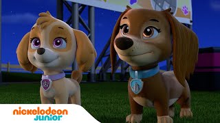 PAW Patrol : La Pat' Patrouille | Les meilleurs moments de la saison 9 (Partie 1) | Nickelodeon Jr.