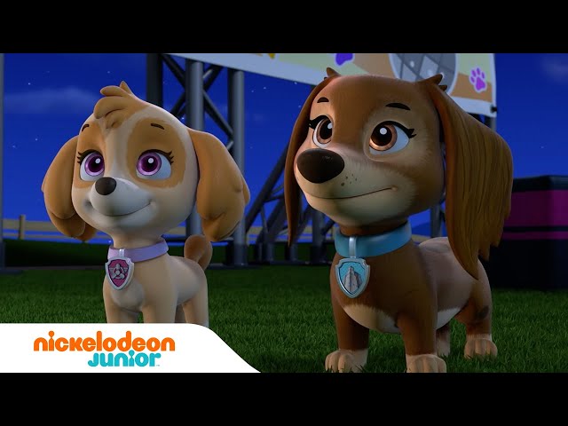 Prime Video: Paw Patrol, la Pat'Patrouille - Saison 9