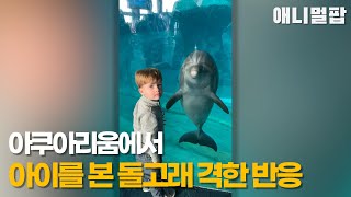 아쿠아리움 돌고래, 인간 아이를 보고 놀라운 반응!