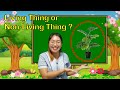Living Things Versus Non-Living Things: A Fun Exploration of Our World