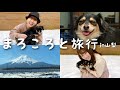 Vlog まろころが笑顔満点な旅行 Vlog まろころが笑顔満点な旅行