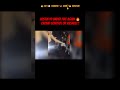 He Got Hit… Then Charged?! 🤯 Officer Still Protected.#PoliceAccountability #CopWatch #CivilRights