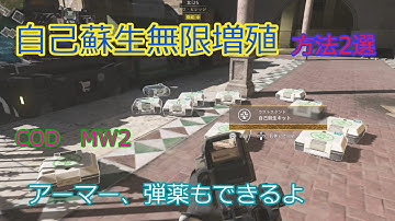 自己蘇生無限増殖！方法2選！　オマケ安全な脱出方法　CODMW２　DMZ